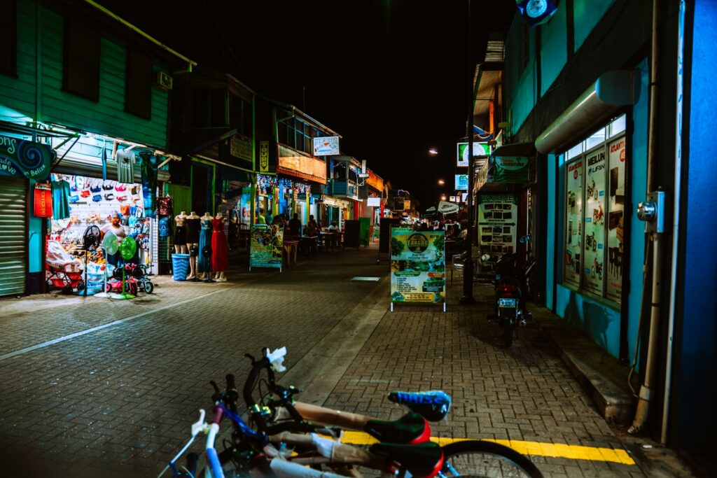 people walking on street during night time